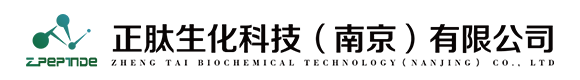 {ys:global name='ys_webname' /}